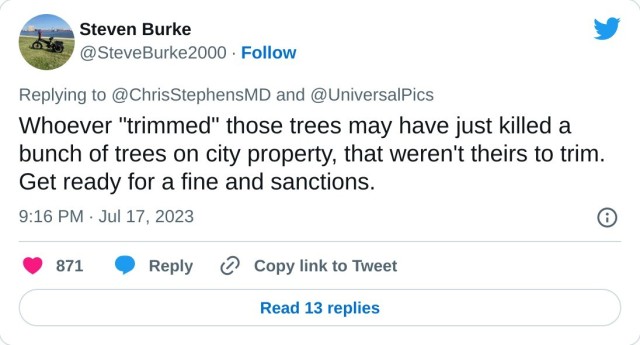 Whoever "trimmed" those trees may have just killed a bunch of trees on city property, that weren't theirs to trim. Get ready for a fine and sanctions.

— Steven Burke (@SteveBurke2000) July 17, 2023