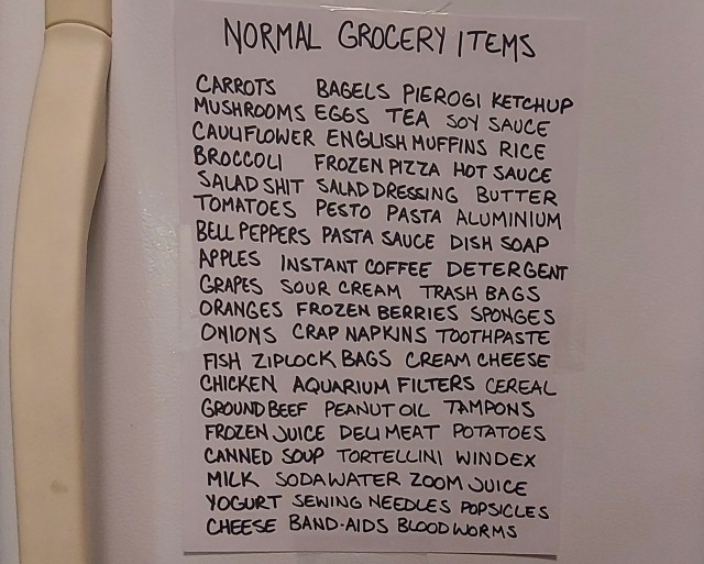 A sheet of paper taped to a fridge door titled "normal grocery items". Below it is written roughly sixty food and grocery items, including aquarium filters and blood worms.
